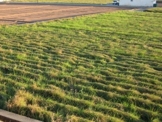 Zona sembrada.jpg